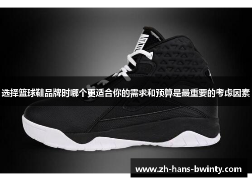 选择篮球鞋品牌时哪个更适合你的需求和预算是最重要的考虑因素