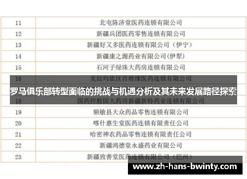 罗马俱乐部转型面临的挑战与机遇分析及其未来发展路径探索