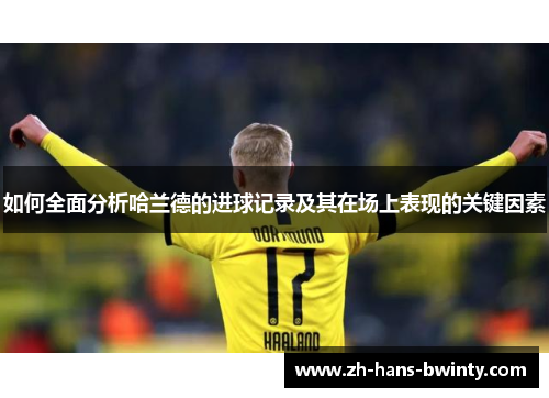 如何全面分析哈兰德的进球记录及其在场上表现的关键因素