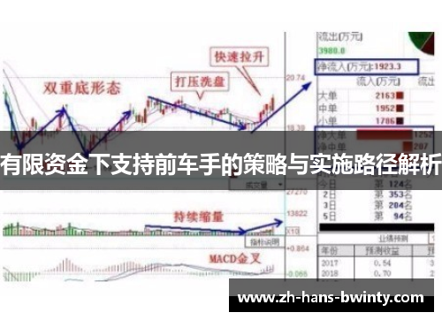 有限资金下支持前车手的策略与实施路径解析